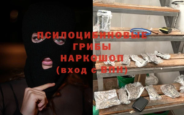 МДПВ Аша