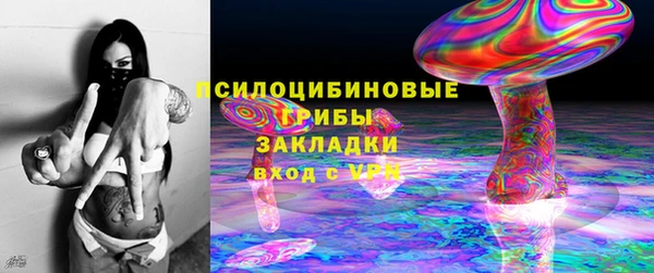 ECSTASY Лагань