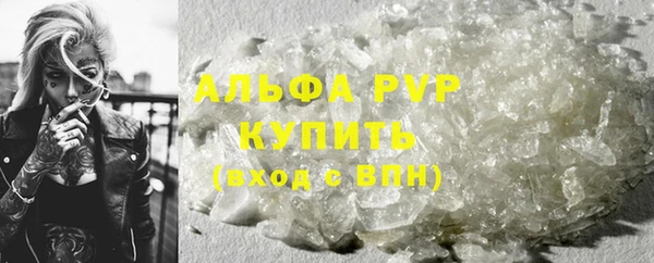 ECSTASY Лагань