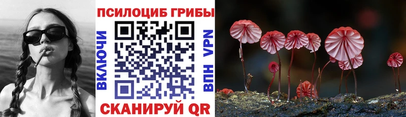Галлюциногенные грибы мухоморы блэк спрут Пестово